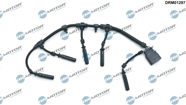 LIZARTE DRM01297