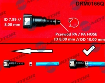 LIZARTE DRM0166Q