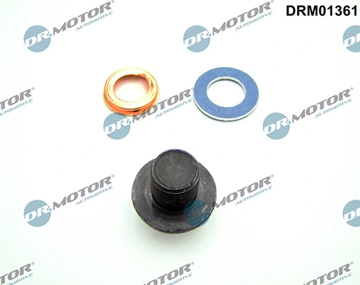 LIZARTE DRM01361