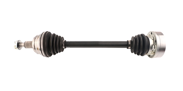 LIZARTE DS0099