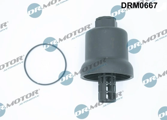 LIZARTE DRM0667