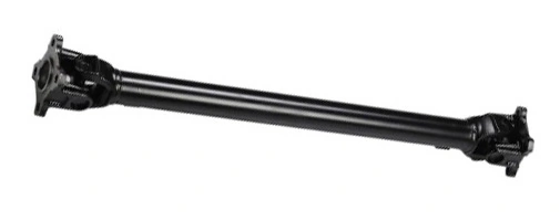 LIZARTE PS0049