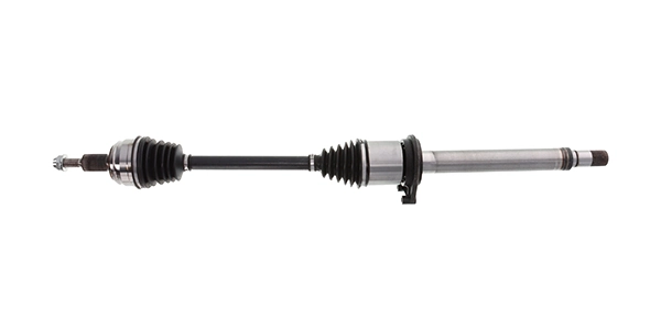 LIZARTE DS1267