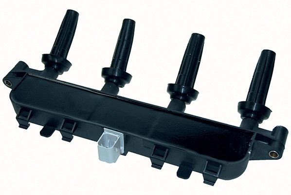 LIZARTE BOBEN009