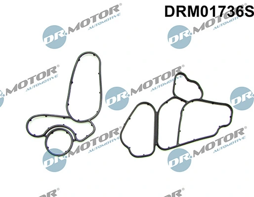 LIZARTE DRM01736S