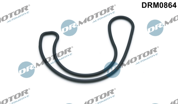 LIZARTE DRM0864