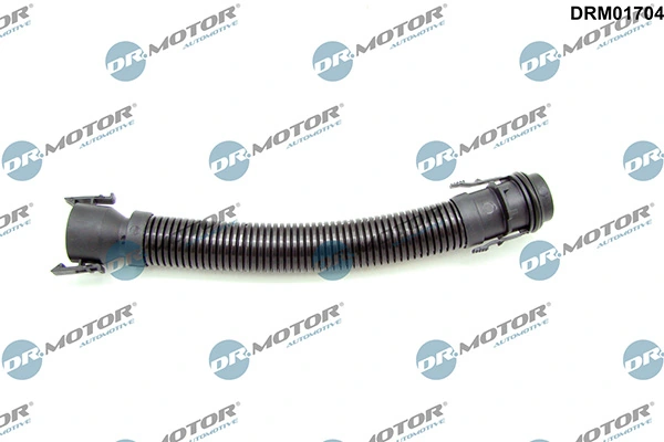 LIZARTE DRM01704