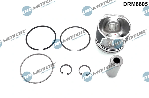 LIZARTE DRM6605