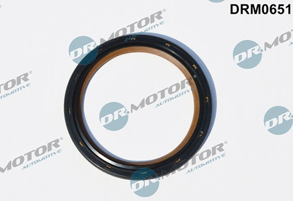 LIZARTE DRM0651