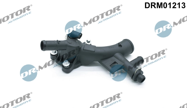 LIZARTE DRM01213