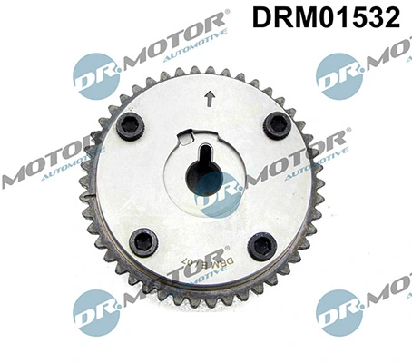 LIZARTE DRM01532