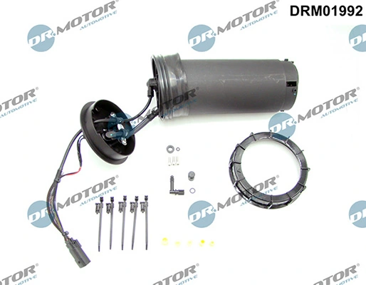 LIZARTE DRM01992