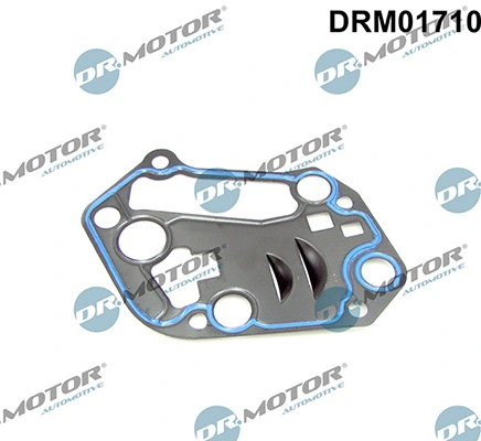 LIZARTE DRM01710