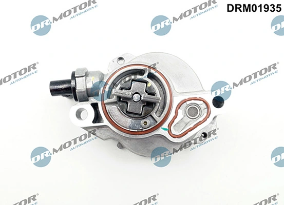 LIZARTE DRM01935
