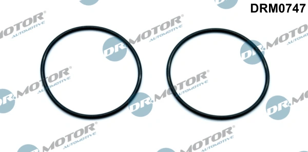 LIZARTE DRM0747