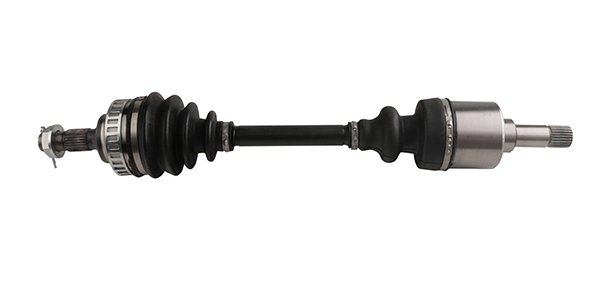 LIZARTE DS0162