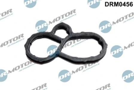 LIZARTE DRM0456