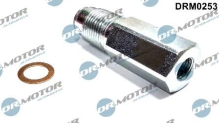 LIZARTE DRM0253