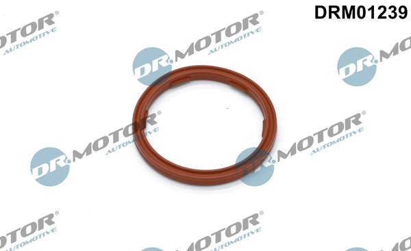 LIZARTE DRM01239