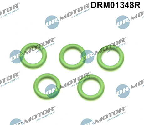 LIZARTE DRM01348R