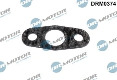 LIZARTE DRM0374