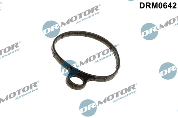 LIZARTE DRM0642
