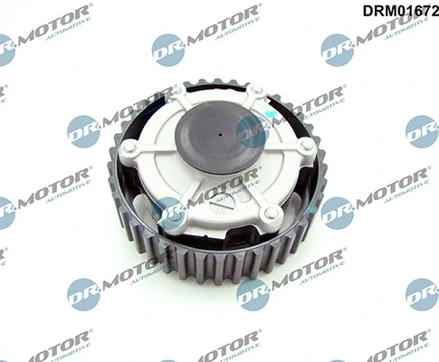 LIZARTE DRM01672