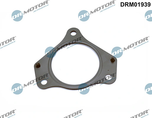 LIZARTE DRM01939