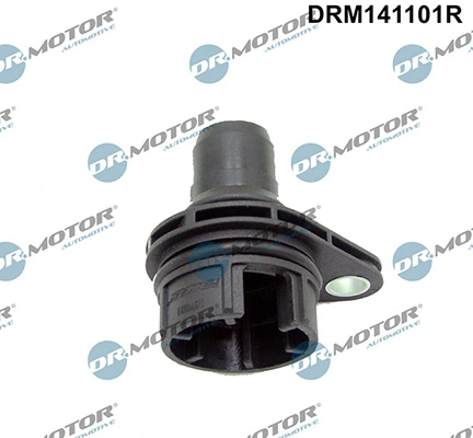 LIZARTE DRM141101R