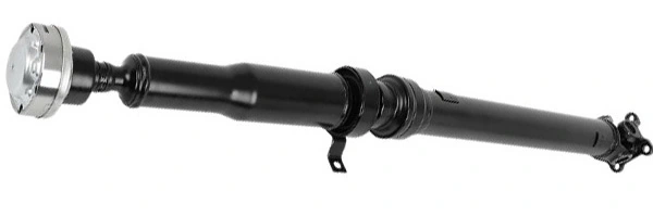 LIZARTE PS0037