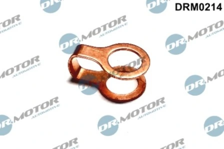 LIZARTE DRM0214