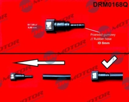 LIZARTE DRM0168Q