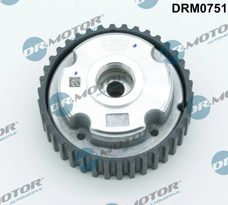 LIZARTE DRM0751