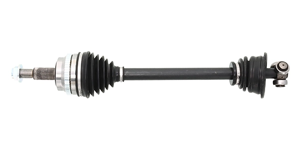 LIZARTE DS0460