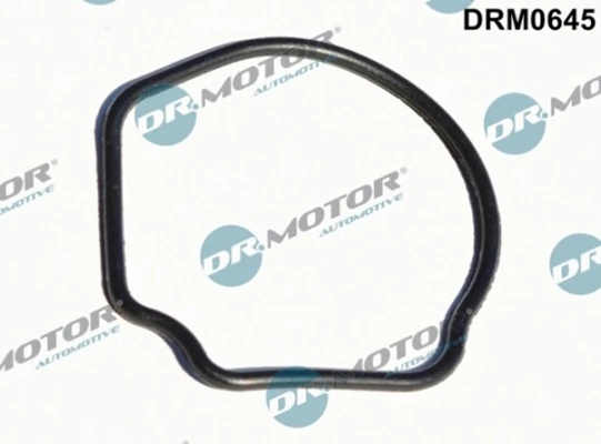 LIZARTE DRM0645