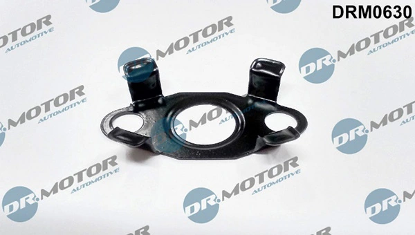 LIZARTE DRM0630