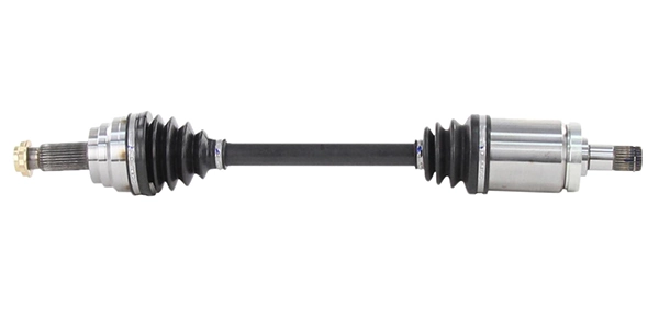 LIZARTE DS1217