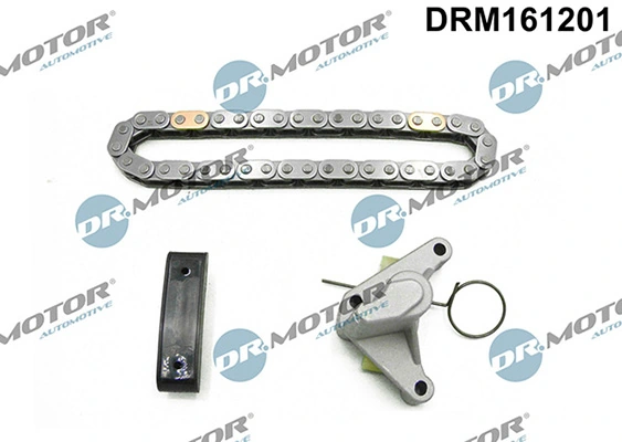 LIZARTE DRM161201