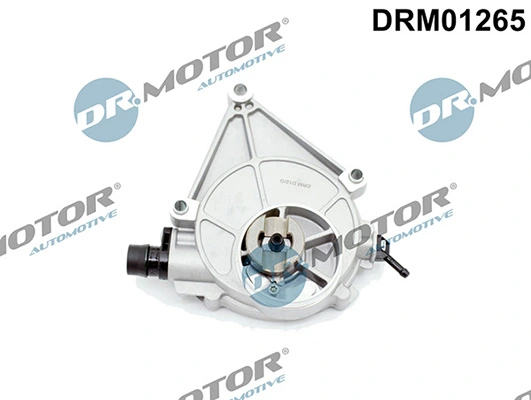 LIZARTE DRM01265
