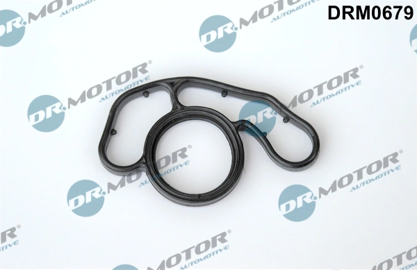 LIZARTE DRM0679