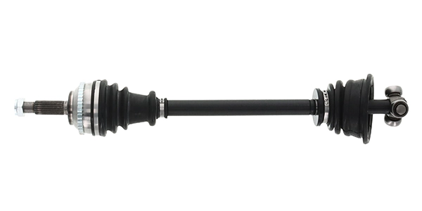 LIZARTE DS0751