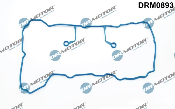 LIZARTE DRM0893
