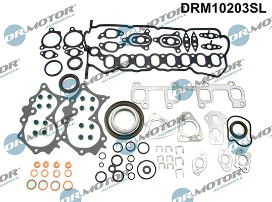 LIZARTE DRM10203SL