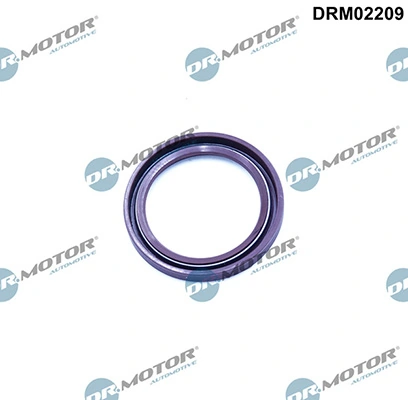 LIZARTE DRM02209