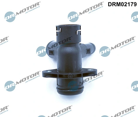 LIZARTE DRM02179