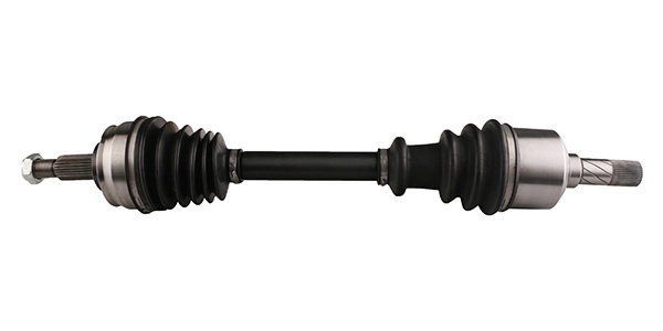 LIZARTE DS0842