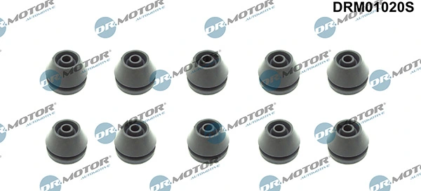 LIZARTE DRM01020S