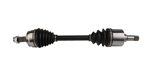 LIZARTE DS0267