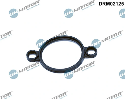 LIZARTE DRM02125