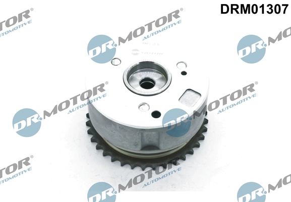 LIZARTE DRM01307